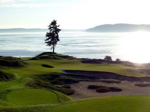 Chambers Bay 15th Reflection