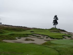 Chambers Bay 15th Tree Fog