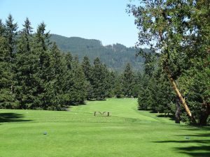 Gold Mountain (Cascade) 6th