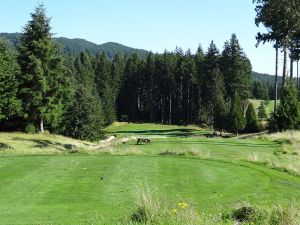 Gold Mountain (Olympic) 12th Tee