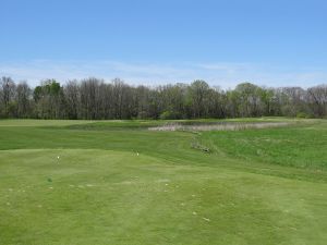 Bull At Pinehurst Farms 11th