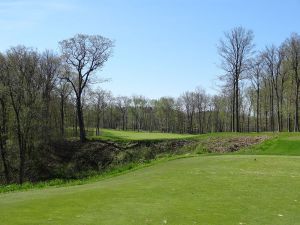 Bull At Pinehurst Farms 5th