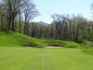 Bull At Pinehurst Farms 7th Fairway