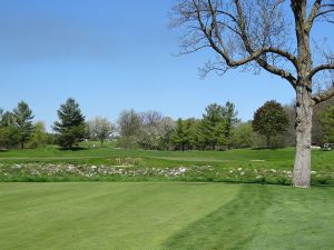 Bull At Pinehurst Farms 8th Approach