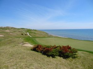 Whistling Straits (Straits) 3rd Back Bush