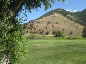 Snake River 15th Green