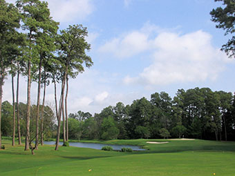 Lochinvar Golf Club 5th